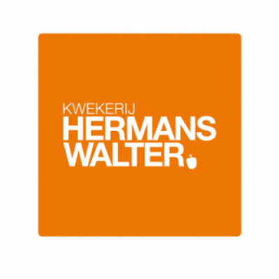 Hermans Walter